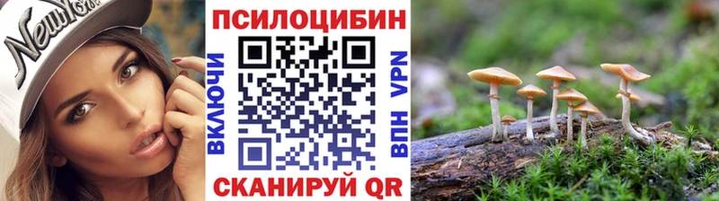 МЕГА вход  хочу наркоту  Заринск  Псилоцибиновые грибы мицелий 